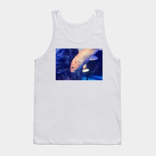 Golden yellow Ogon Koi carp fish Tank Top